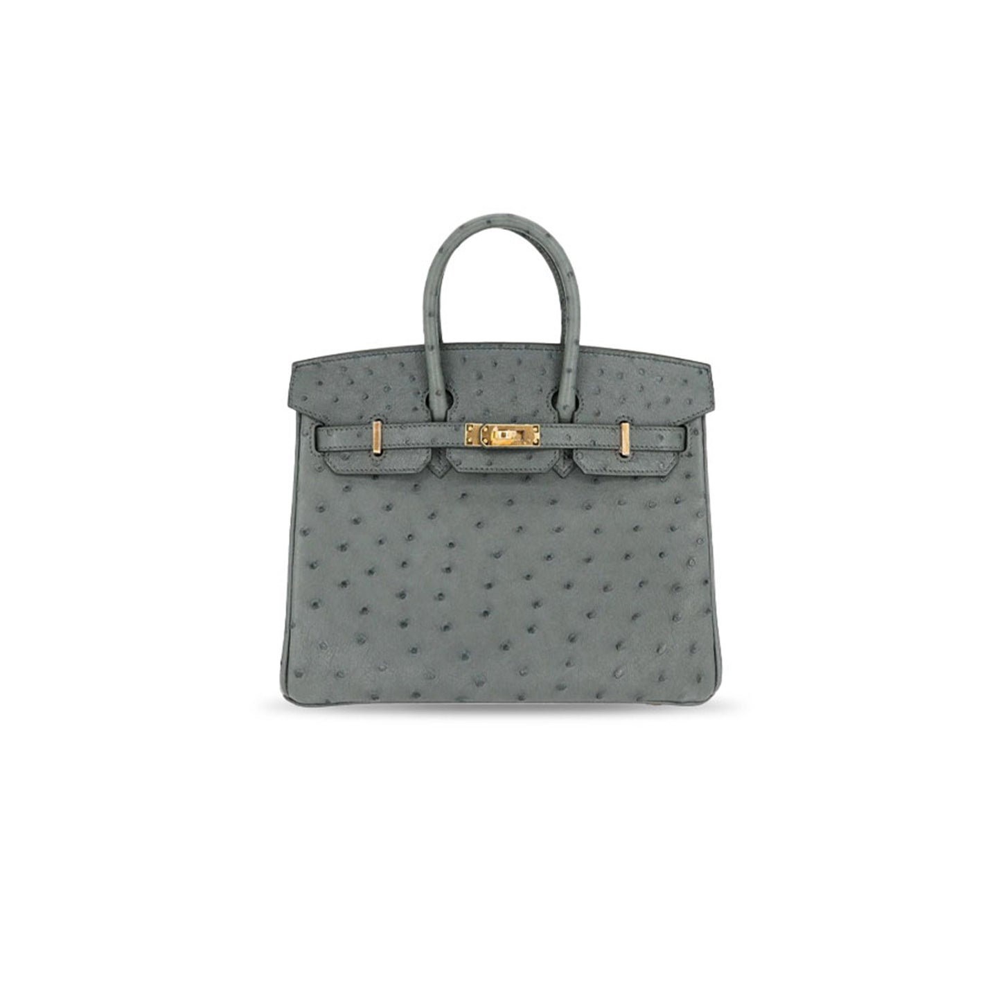 H**mes MASTER OSTRICH BIRKIN 25 BIRKIN HANDBAG (25*20*13cm)